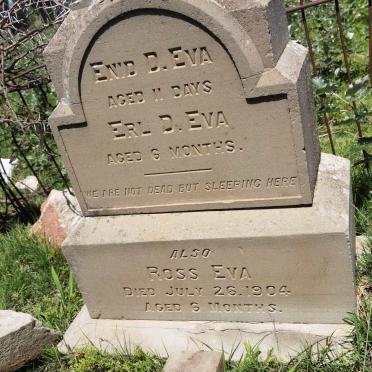 EVA Enid D. :: EVA Erl D. :: EVA Ross -1904