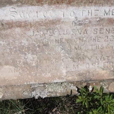 EVA James J. -1881 &amp; Elizabeth -1874