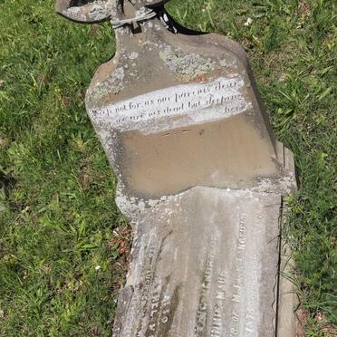 LANGFIELD Minnie Maud 1877-1878 :: JAMES Ethel May 1877-1878