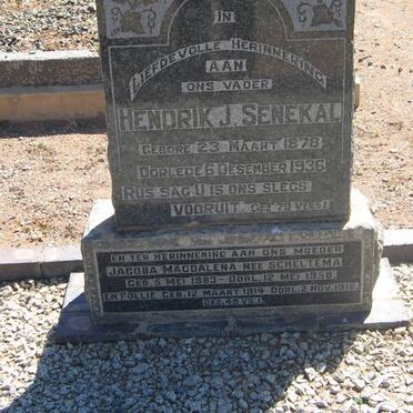 SENEKAL Hendrik J. 1878-1936 &amp; Jacoba Magdalena SCHELTEMA 1883-1958