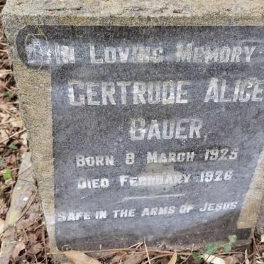 BAUER Gertrude Alice 1925-1926