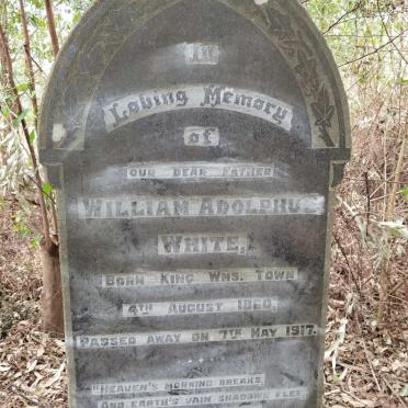 WHITE William Adolphus 1860-1917