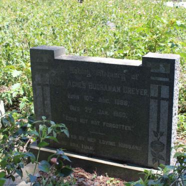 DREYER Mary Agnes Buchanan 1886-1950