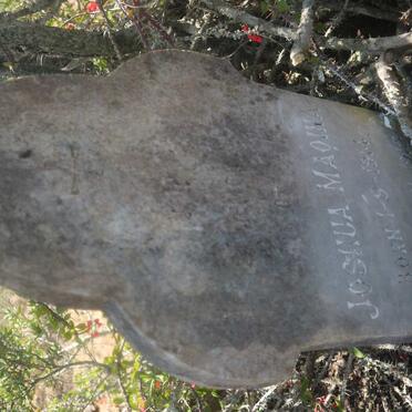 MAQINA Joshua 1914-1915