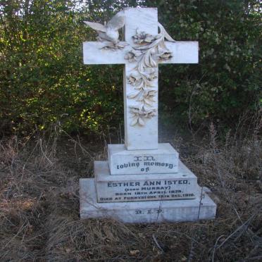 Eastern Cape, BARKLY EAST district, Funnystone 35, farm cemetery