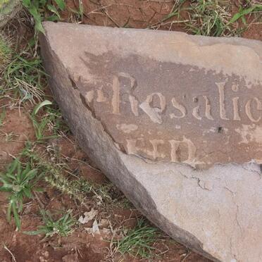 ? Rosalie