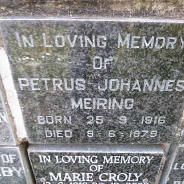 MEIRING Petrus Johannes 1916-1979