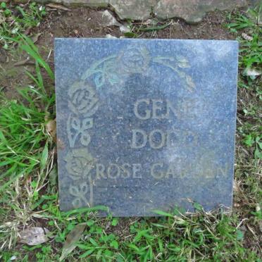 DODD Gene