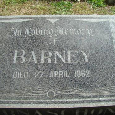 BARNASCHONE Barney -1962