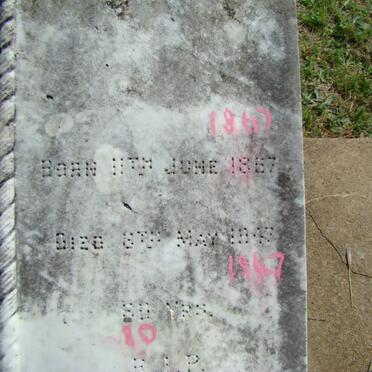 HOLDER Sophie Johana 1867-1947