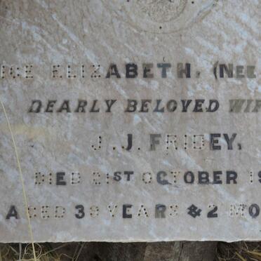 FRIDEY Alice Elizabeth nee LLOYD -1918