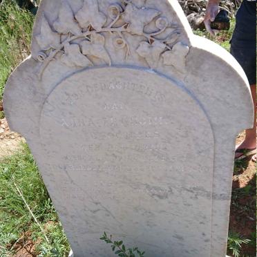 Eastern Cape, MIDDELBURG district, Schoombee Station, Vrees Fontein 44, farm cemetery