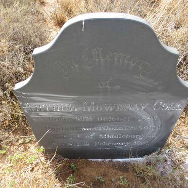 COLE Arthur Mowbray 1846-1881