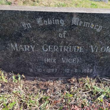VLOK Mary Gertrude nee VICE 1887-1968