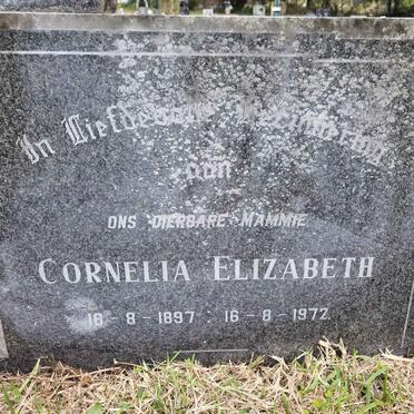 TREURNICHT Jan Jacobus 1892-1972 &amp; Cornelia Elizabeth 1897-1972