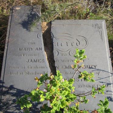 WEBSTER Mary Ann Emma Verity nee FRANCIS 1846-187?