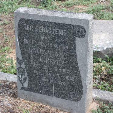 PREEZ Catharina P., du 1928-1953