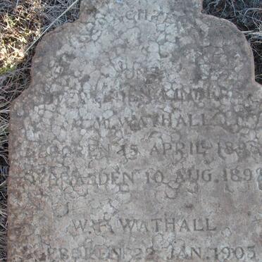 WATHALL ? 1898-1898 :: WATHALL W.? 1905-1905