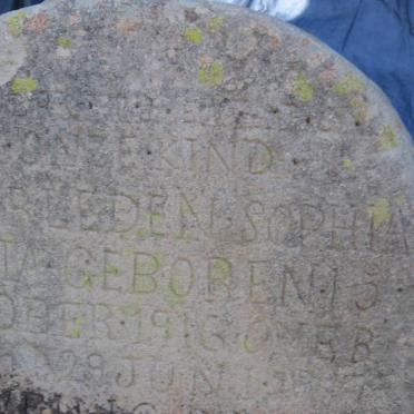 DRY Sophia Aletta 1916-1917