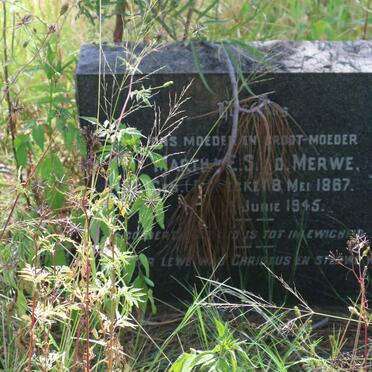 MERWE Martha E.S., v.d. nee ?ECKE 1867-1945