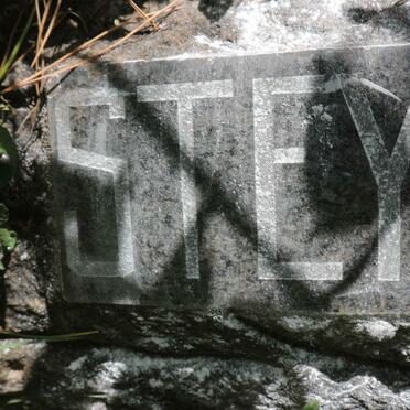 STEYL J.D.T. de B. 1886-1971 &amp; S.J. WESSELS 1890-1973