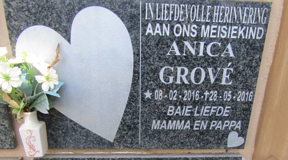 GROVE Anica 2016