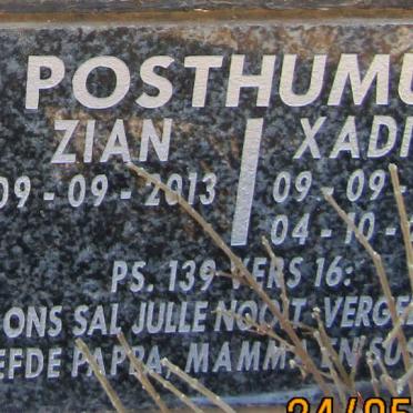 POSTHUMUS Zian 2013- :: POSTHUMUS  Xadian 2013-2013