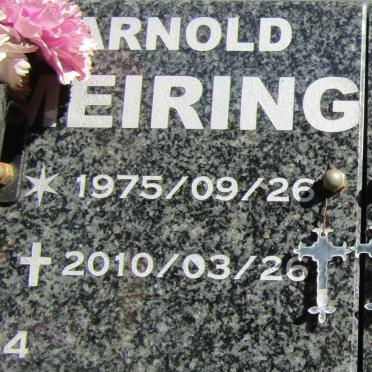 MEIRING Arnold 1975-2010