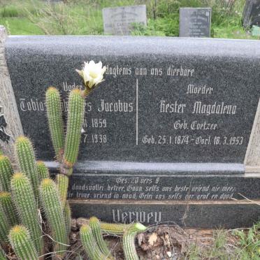 VERWEY Tobias Johannes Jacobus 1859-1938 &amp; Hester Magdalena COETZEE 1874-1953