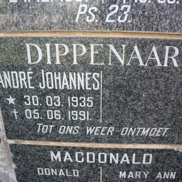 DIPPENAAR Andre Johannes 1935-1991