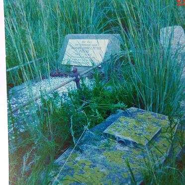 PIETERS Johannes Hendrik Petrus 1857-1941 