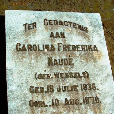 Free State, BETHLEHEM district, Middelvlei, farm cemetery