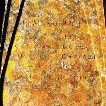 BOSMAN Aletta C. nee NAUDE 1869-1894