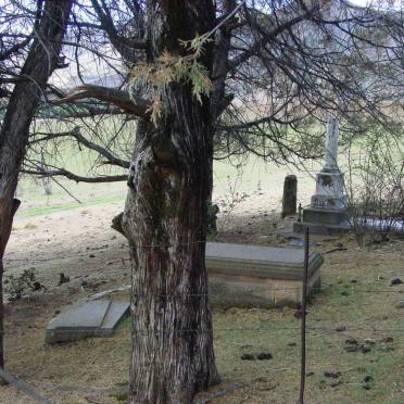 1. Overview on cemetery