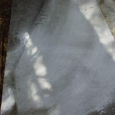 LABUSCHAGNE M.S. nee VAN ZYL 1850-1912