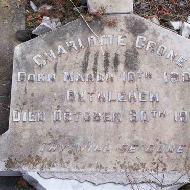 CRONE Charlotte 1904-1906