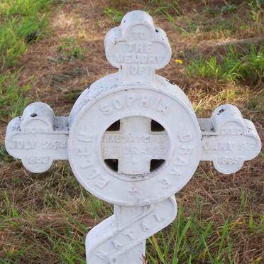 DRAKE Ellen Sophia 1852-1885