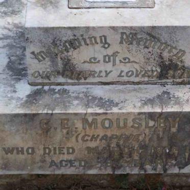 MOUSLEY C.E. -1906