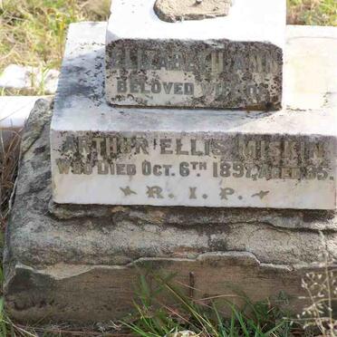 MISKIN Elizabeth Ann -1897