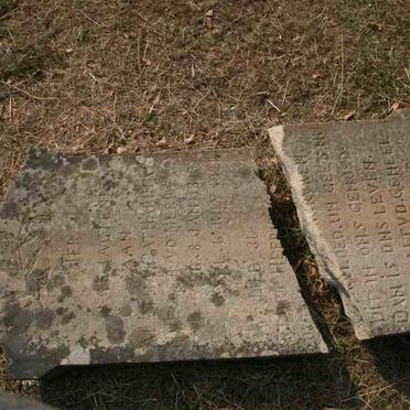 NYE Aletha Catharina nee V.D. MERWE 1873-1924