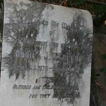 O - Surnames :: Vanne - O