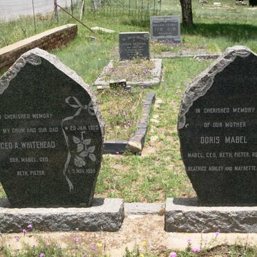 W - Surnames :: Vanne - W