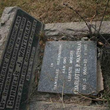 WANTENAAR Cornelis 1869-1930 &amp; Charlotte P. 1885-1971