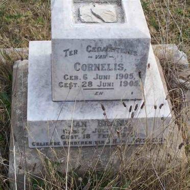 WESSELS Cornelis 1905-1905 :: WESSELS Jan Brand 1908-1914