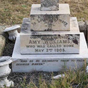 WILLIAMS Amy -1905