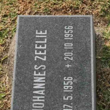 ZEELIE Johannes 1956-1956