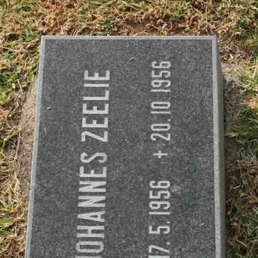 ZEELIE Johannes 1956-1956