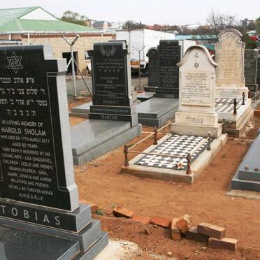 TOBIAS Harold Sholam -2011