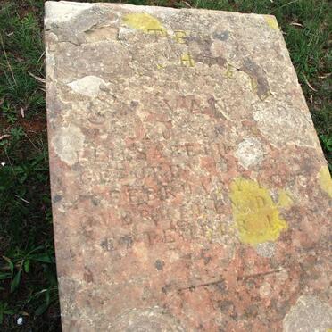 ? Elisabeth 18??-1908