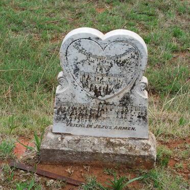 BRUIN Hendrikie Jacobus, de 1920-1920